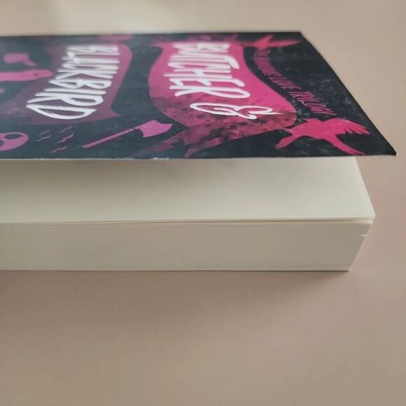 Butcher & Blackbird-Brynne Weaver-Trade paperback book-The Ruinous Love Trilogy - Picture 4 of 9